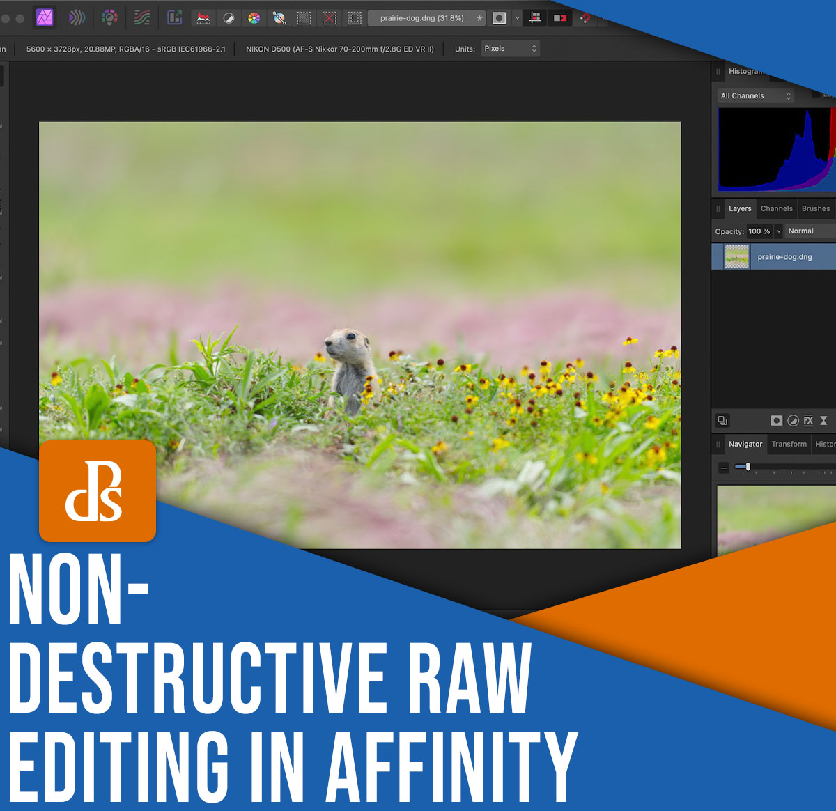 Non-destructive RAW editing in Affinity