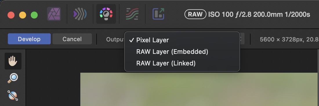 Non-Destructive RAW Editing in Affinity Photo: Screenshot of the Output options in the Affinity Photo RAW Develop interface.