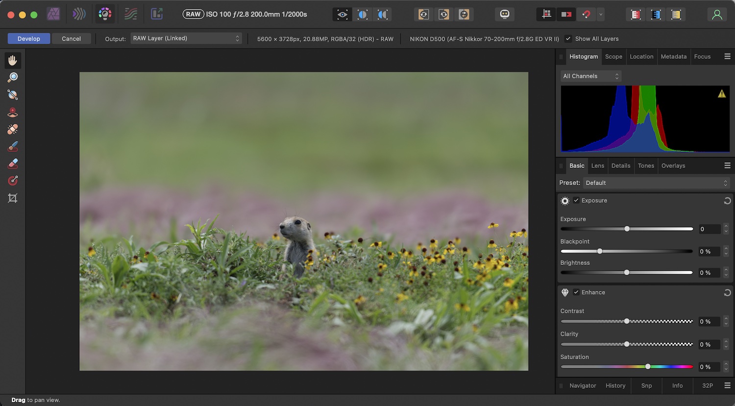 Non-Destructive RAW Editing in Affinity Photo: Screenshot of the RAW Develop interface