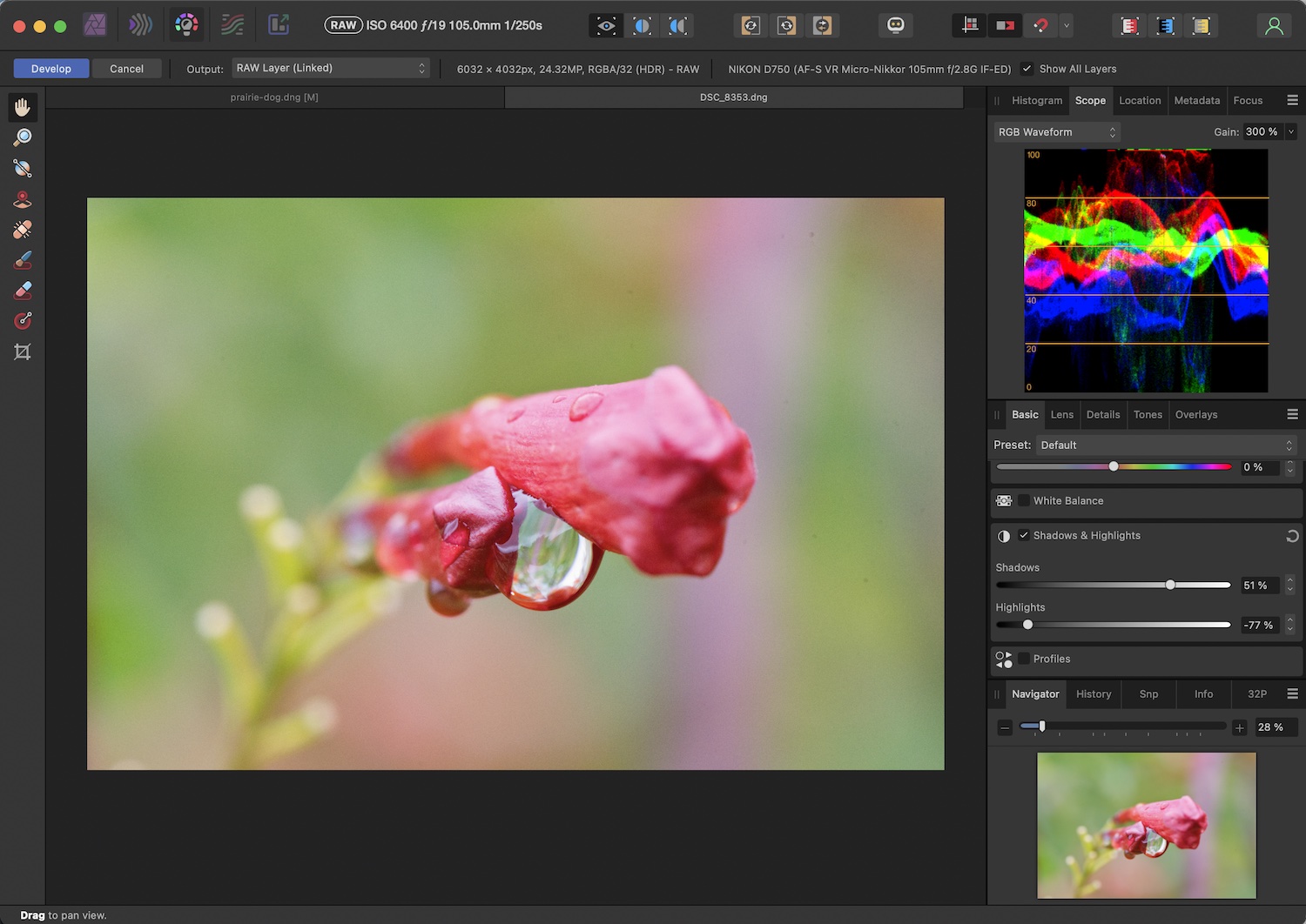 Non-Destructive RAW Editing in Affinity Photo: Screenshot of the Develop interface with a red flower.