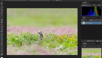 Non-Destructive RAW Editing in Affinity Photo: A Guide