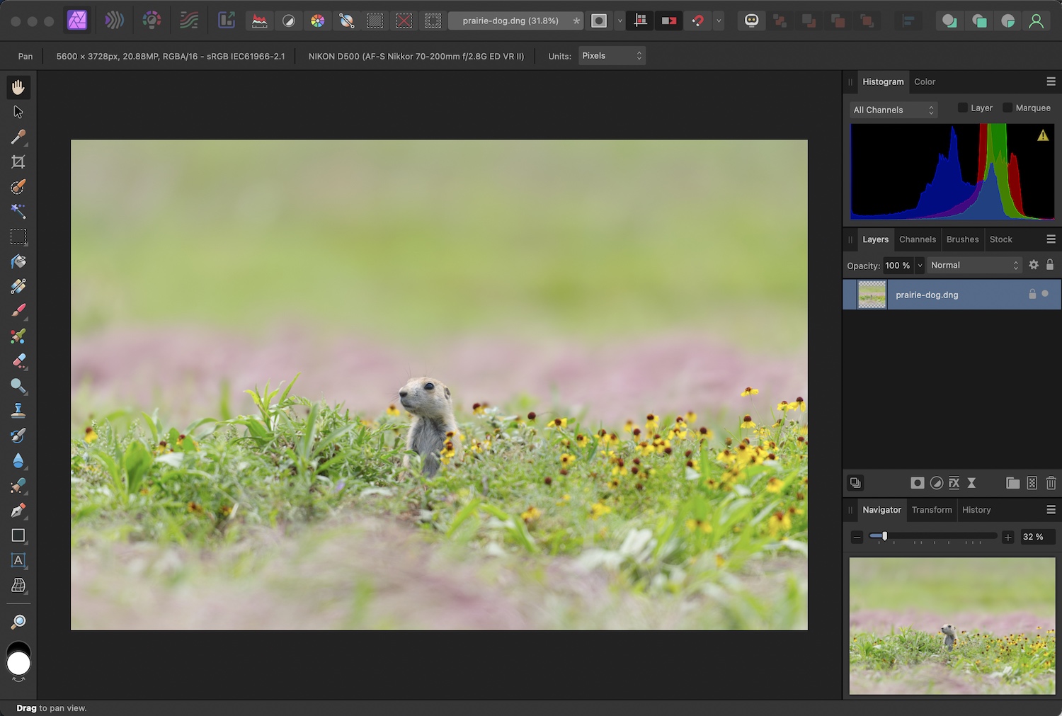 Non-Destructive RAW Editing in Affinity Photo: Screenshot of the RAW Develop persona.