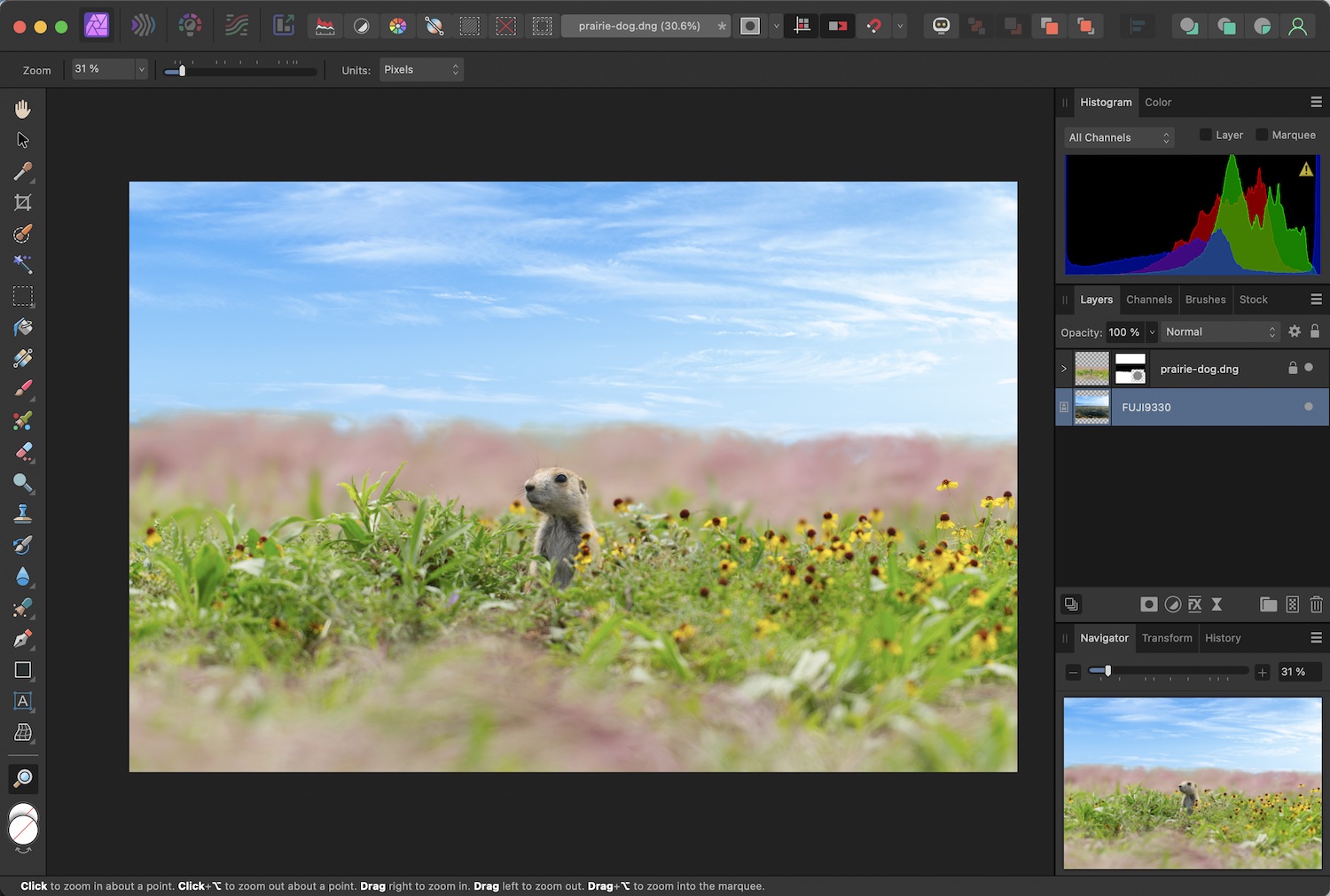Non-Destructive RAW Editing in Affinity Photo: Screenshot of the sky replaced in an image.