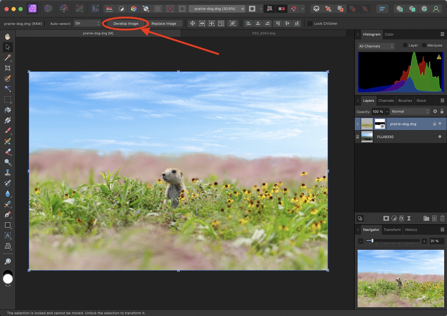 Non-Destructive RAW Editing in Affinity Photo: Screenshot of the sky replaced in an image.