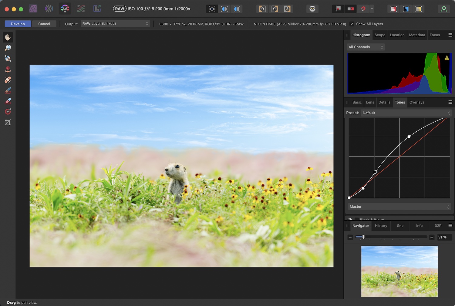 Non-Destructive RAW Editing in Affinity Photo: Screenshot of the Develop interface, with a Tone Curve adjustment.