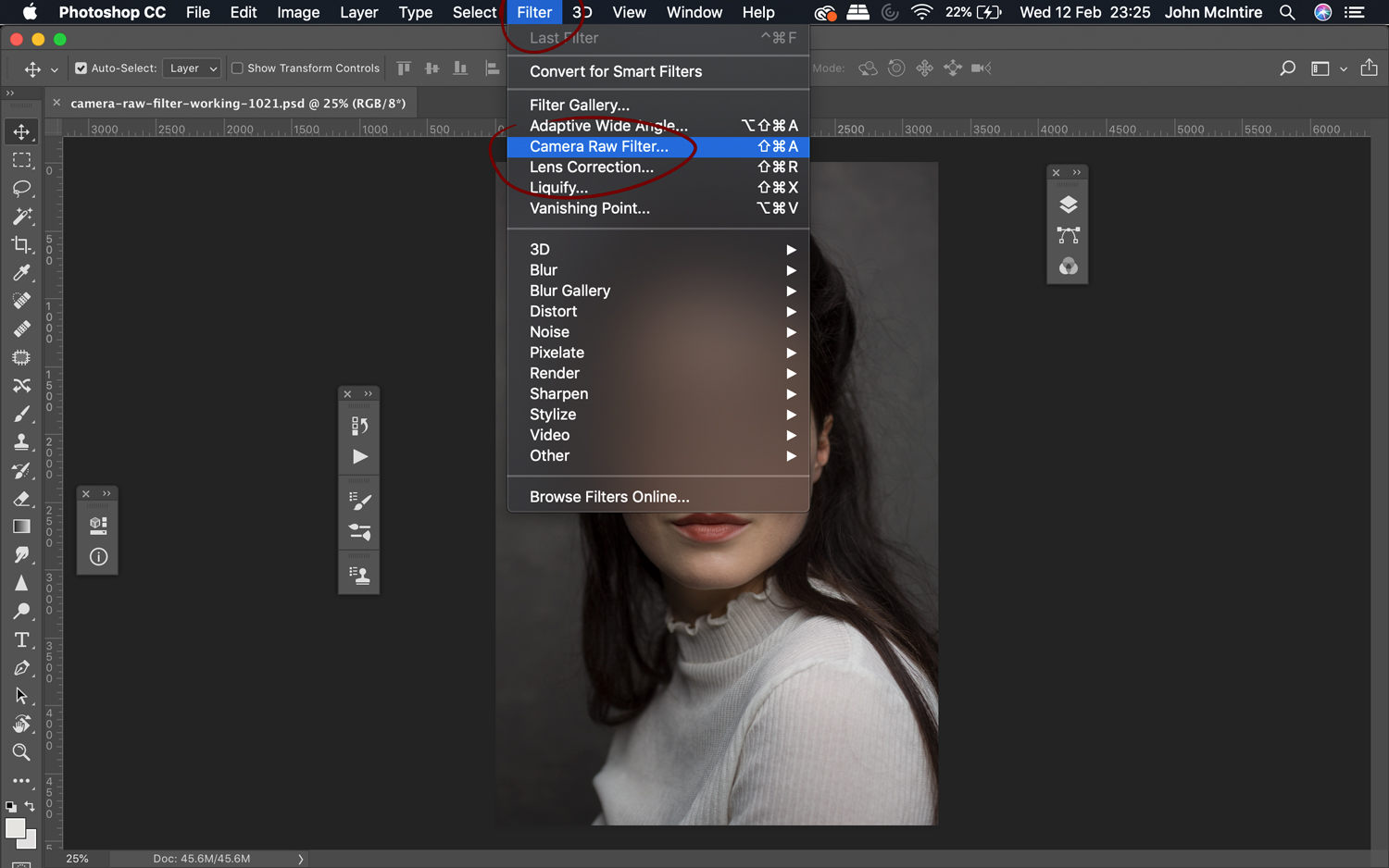 Finding the Photoshop Camera Raw Filter.