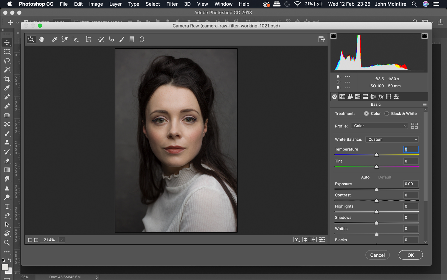 How to use the Photoshop Camera Raw filter 