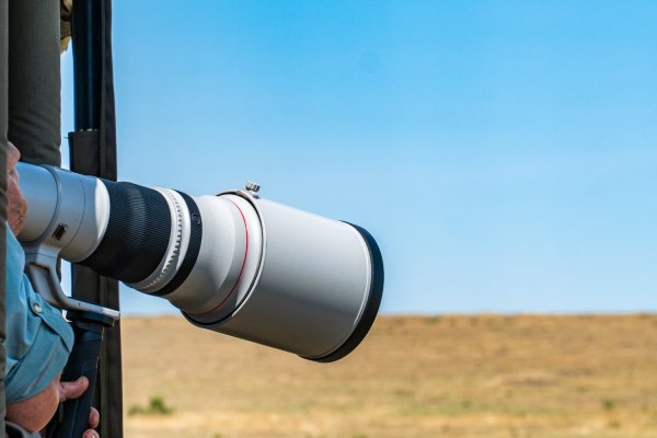 Canon’s Rumored Super-Telephoto Lens: The RF 200-500mm f/4L 1.4x