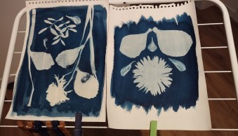 Cyanotype Photography: A Comprehensive Guide