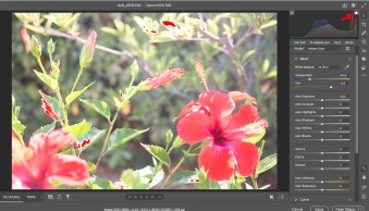 How to Fix Overexposed Photos: A Comprehensive Guide