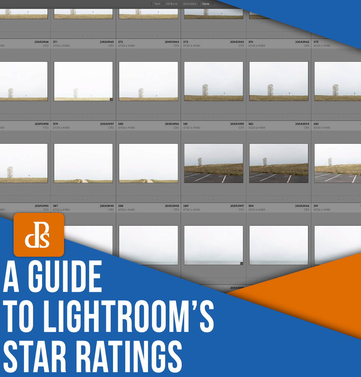 Lightroom Star Ratings: A Quick Guide