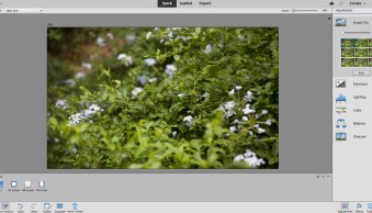 Photoshop Elements vs Photoshop: Which Editor Is Right for You?