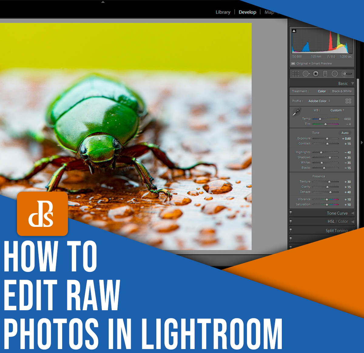 How to edit RAW photos in Lightroom