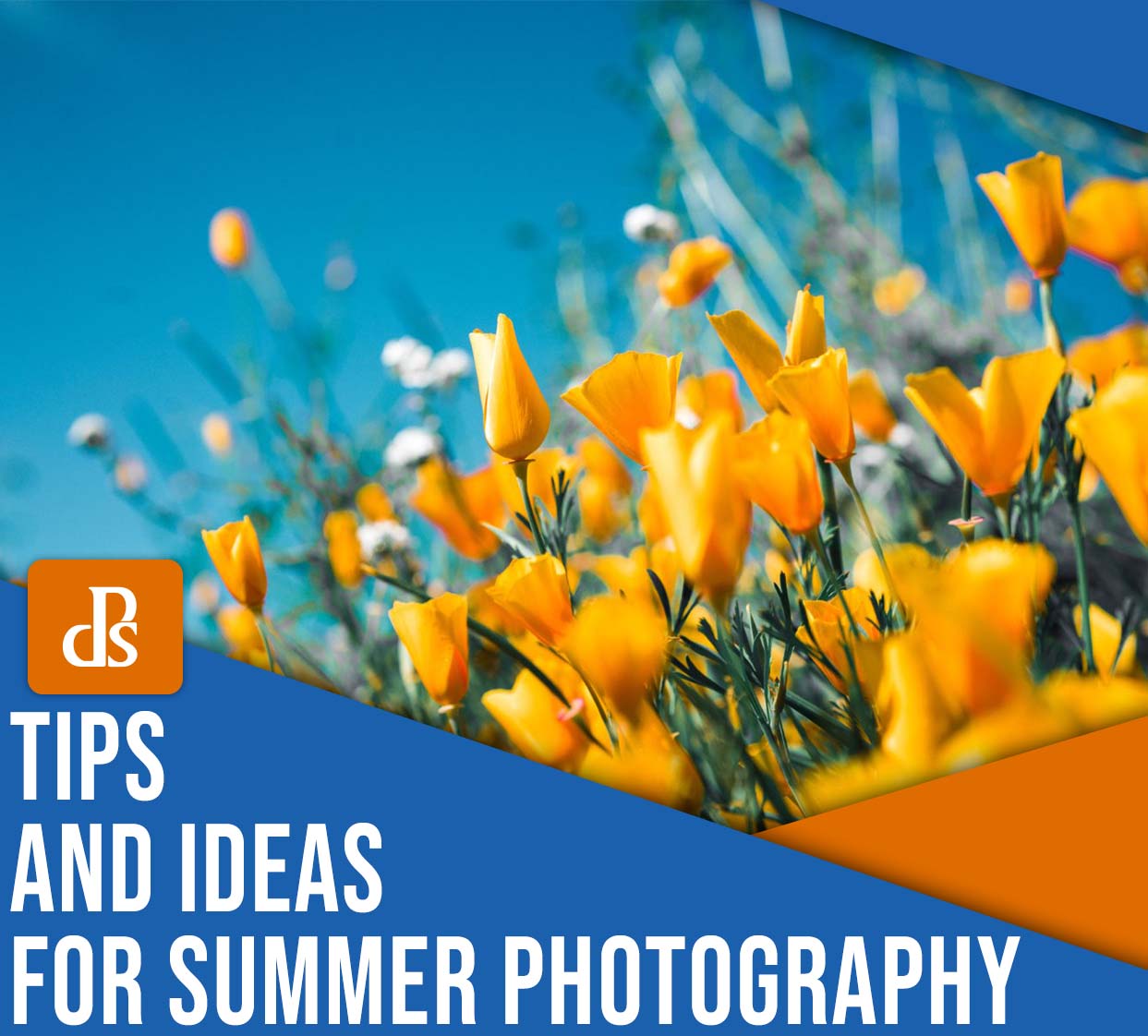 tips and ideas for summer photography