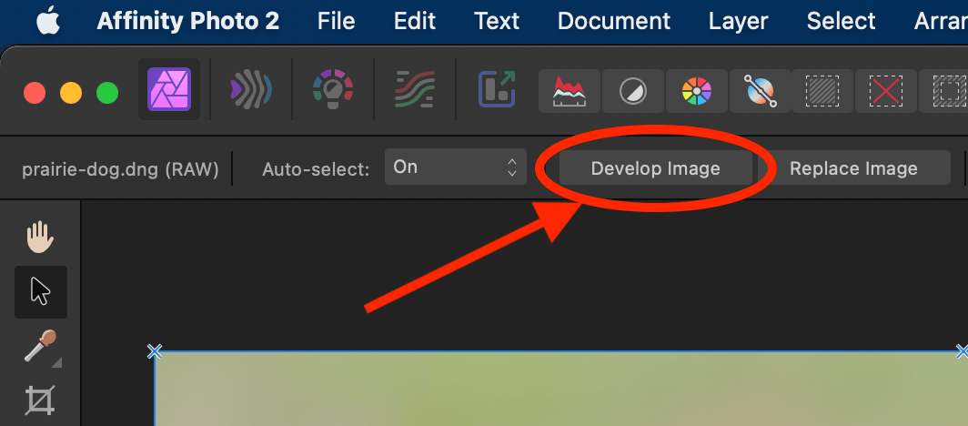 Non-Destructive RAW Editing in Affinity Photo: Screenshot of the Develop Image button in Affinity Photo.