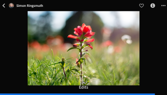 Become a Better Photo Editor with the New Lightroom Mobile ‘Discover’ Feature